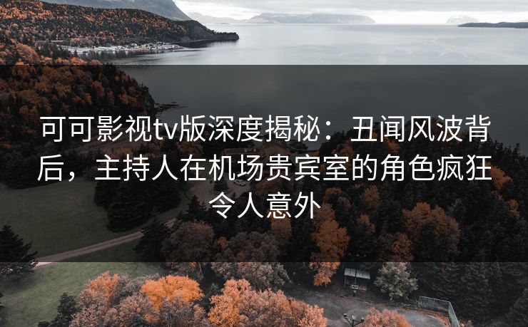 可可影视tv版深度揭秘：丑闻风波背后，主持人在机场贵宾室的角色疯狂令人意外