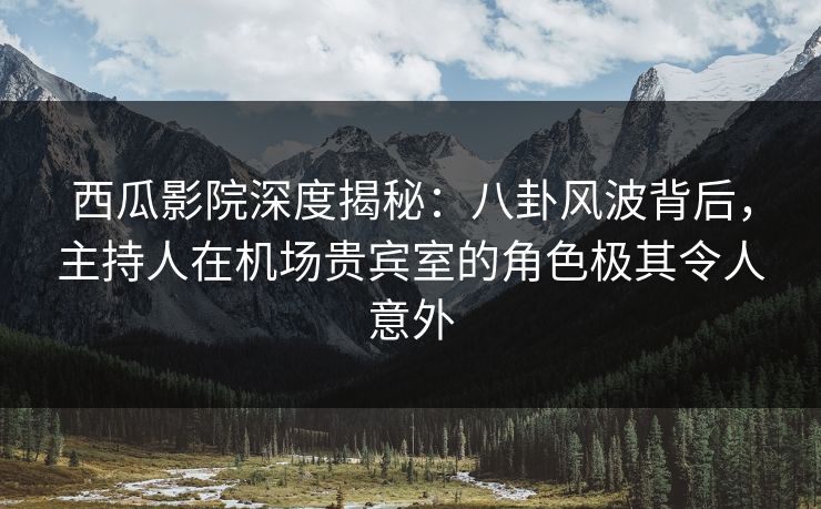 西瓜影院深度揭秘:八卦风波背后,主持人在机场贵宾室的角色极其令人意外 西瓜影院深度揭秘:八卦风波背后,主持人在机场贵宾室的角色极其令人意外