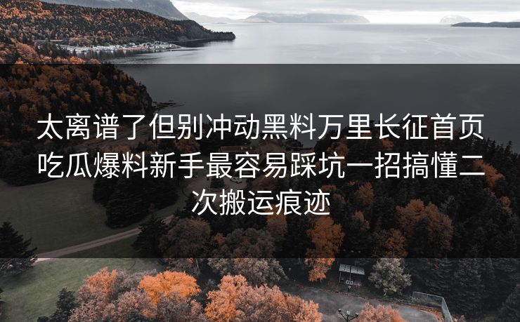 太离谱了但别冲动黑料万里长征首页吃瓜爆料新手最容易踩坑一招搞懂二次搬运痕迹